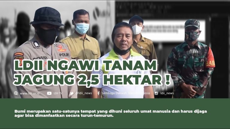 Menanam Jagung
