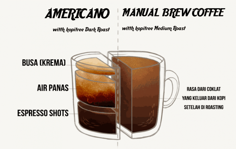 Belum Tahu Jenis-jenis Kopi? Cari Tahu Yuk Dengan Menyimak Pembahasan Di Bawah Ini